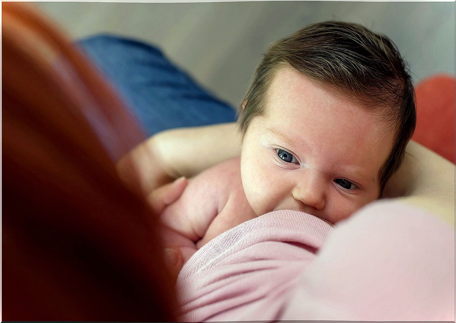 Baby suckling from his mother's breast during lactation.