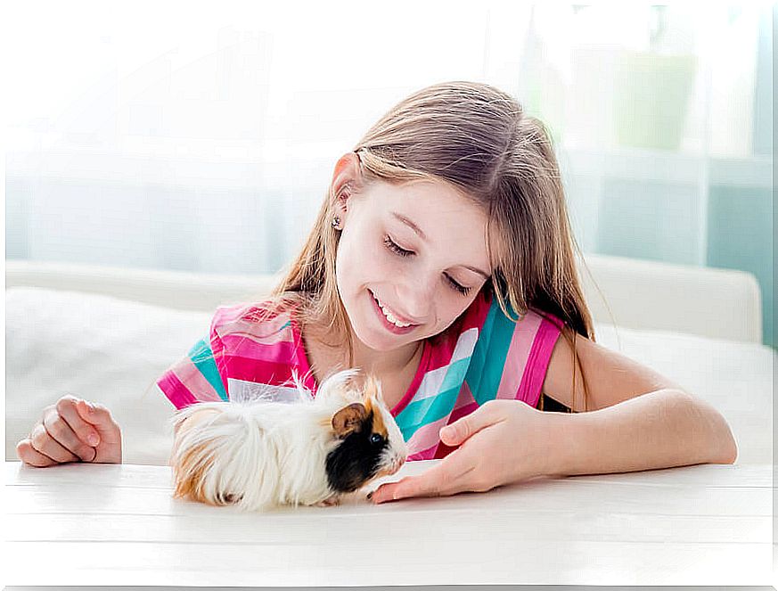 7 pets for kids if you live in the city