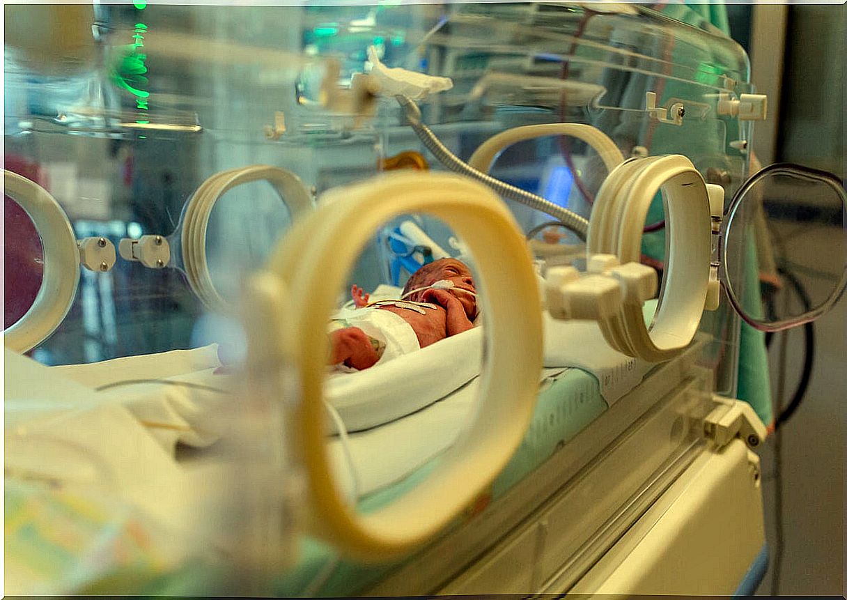 Premature baby in the incubator.