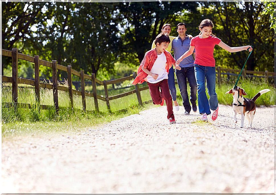 Reconstituted family taking a walk in the countryside with the dog.