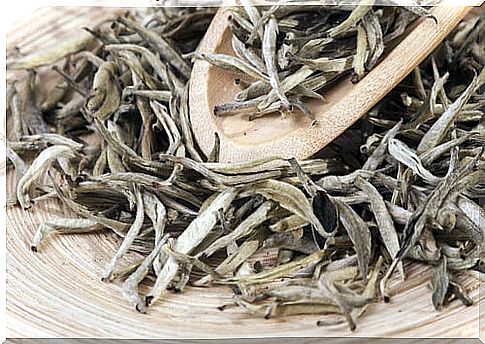 White tea has a wide variety of benefits.