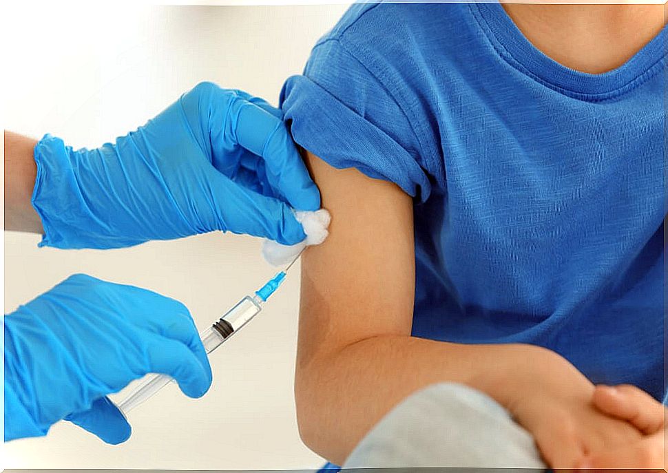 Legal aspects of vaccines