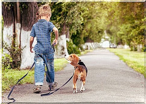 The dog is the first choice when choosing a pet for children.