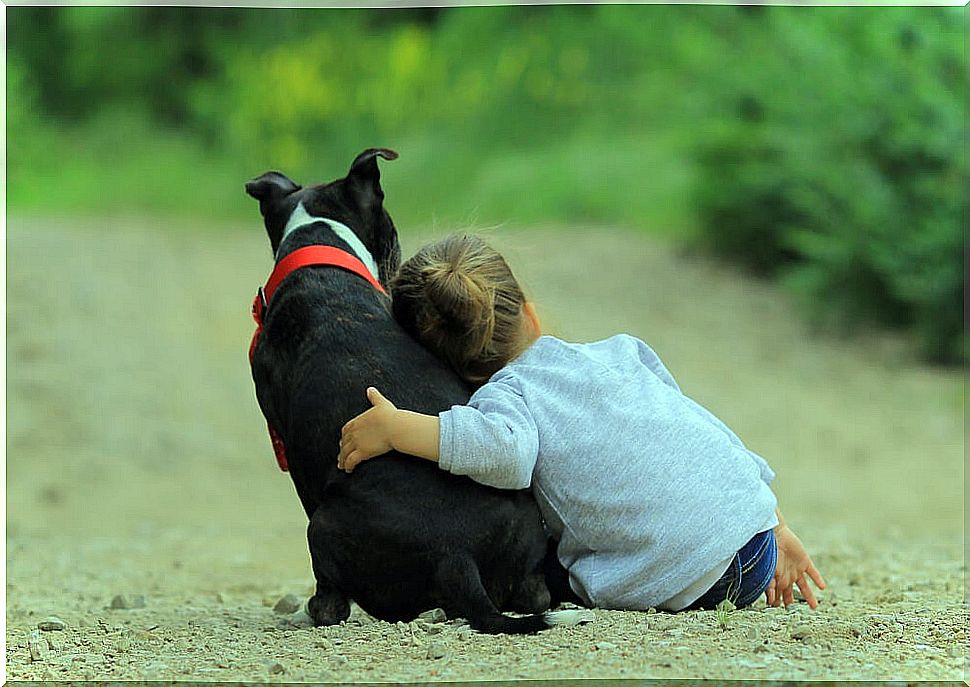 Raise awareness among children about the adoption of animals