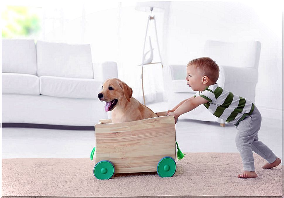 Boy playing at home with his dog.