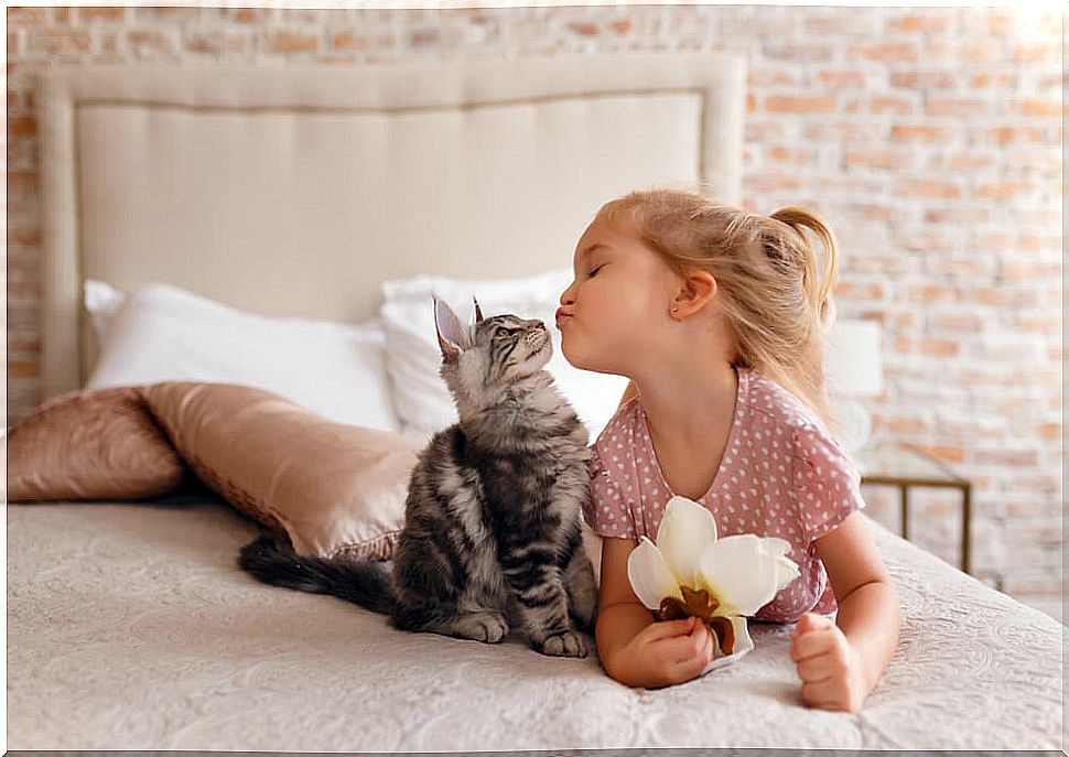 Girl giving a kiss to her cat after adoption. 