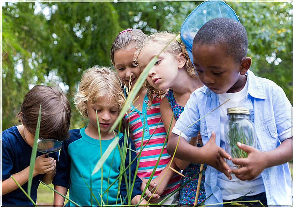 Child learning in nature.