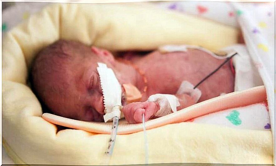 The gestational gray zone, the delicate limit of premature babies