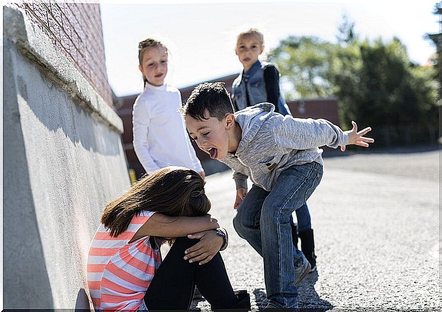 Girl being bullied by a classmate who yells at her at recess.