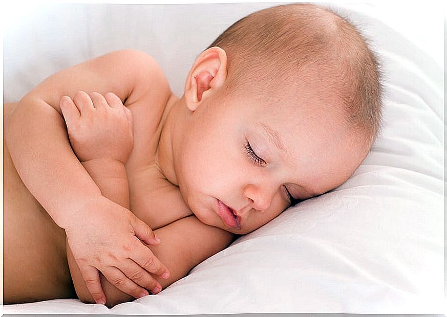 The phases of sleep in babies thus respond to the rapid digestion of milk.